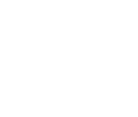 Wild Wavy Studio